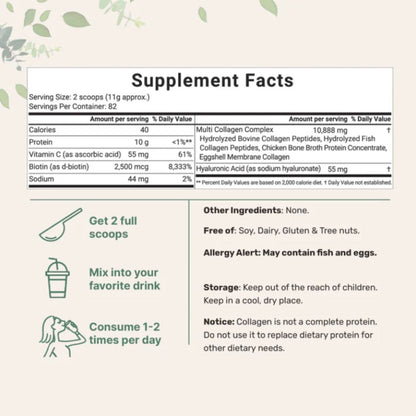 Collagen Peptides - Essential Formula